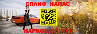 индика Ливны