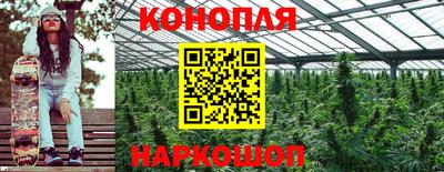 индика Ливны