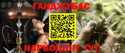 индика Ливны