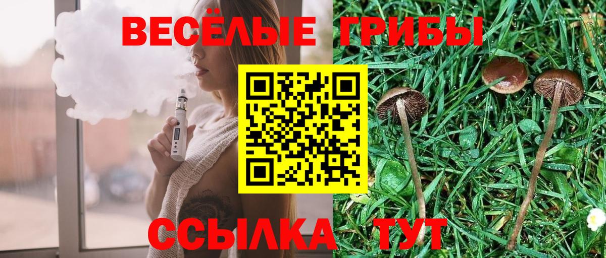 Галлюциногенные грибы прущие грибы Ярцево